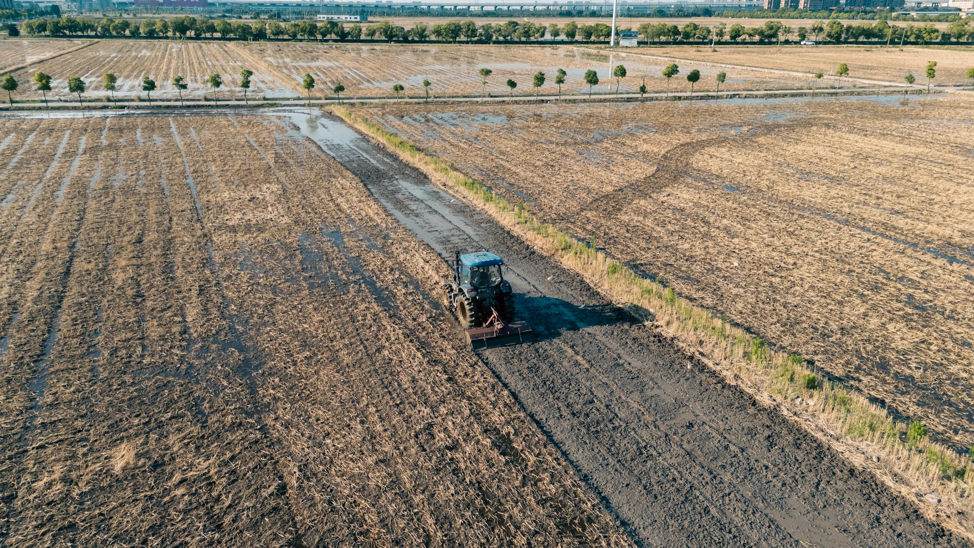 Agriculture and the Food Industry in China